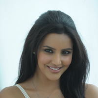 PRIYA ANAND CUTE PHOTOS AT 180 SUCCESS MEET | Picture 43452